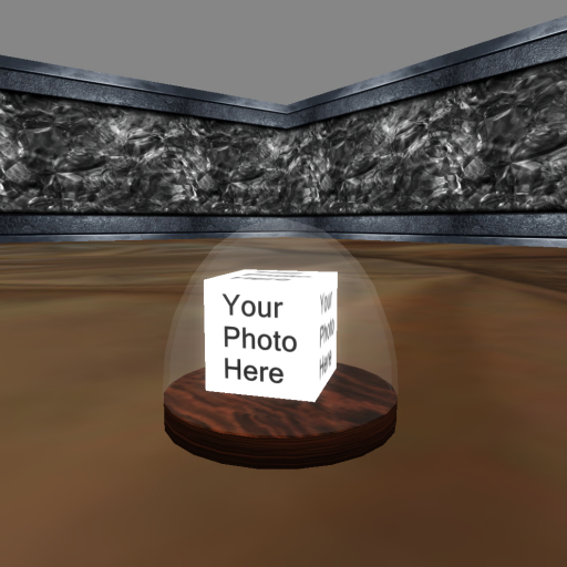 Rotating Blank Picture Globe