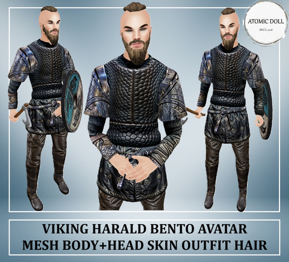 Viking Avatar