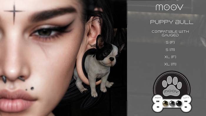 [MooV]Puppy-Bull-gauged-s (f) 