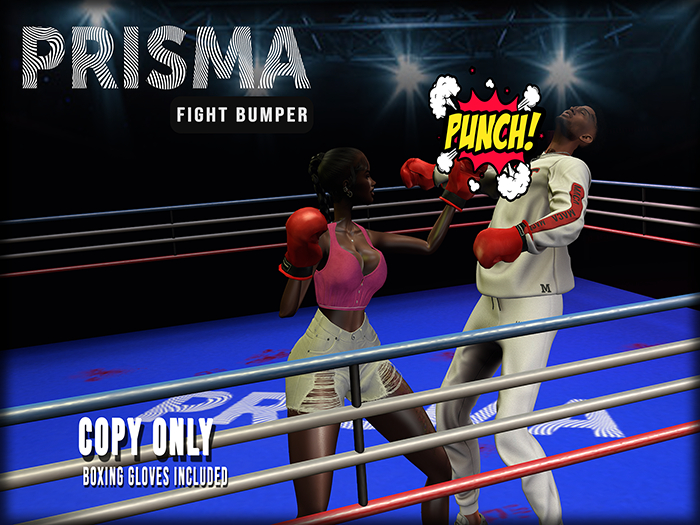PRISMA - FIGHT BUMPER
