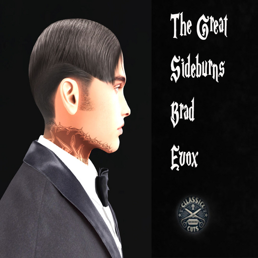 Great Brad Sideburns Evox Tinted Included 