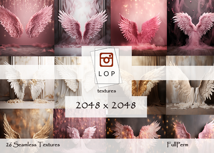 Full Perm - photo studio texture wings