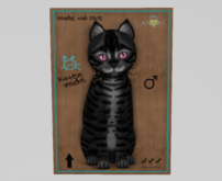Male Breedable Cat KittyCatS Toyger - Coal Kitten Super Cute!