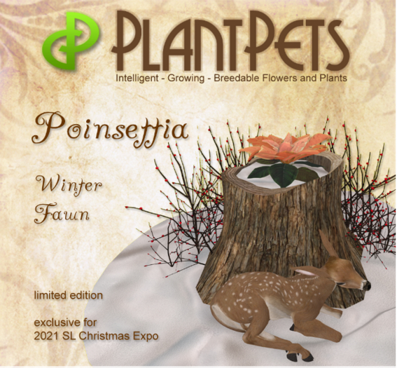 PlantPet Seed [Poinsettia *Winter Fawn*]*Limited*