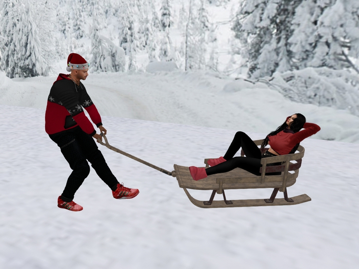 @MA@ Christmas Decoration sled with photo pose