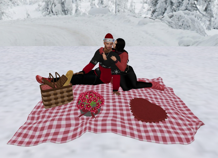 @MA@ Valentine's Day Blanket Picnic
