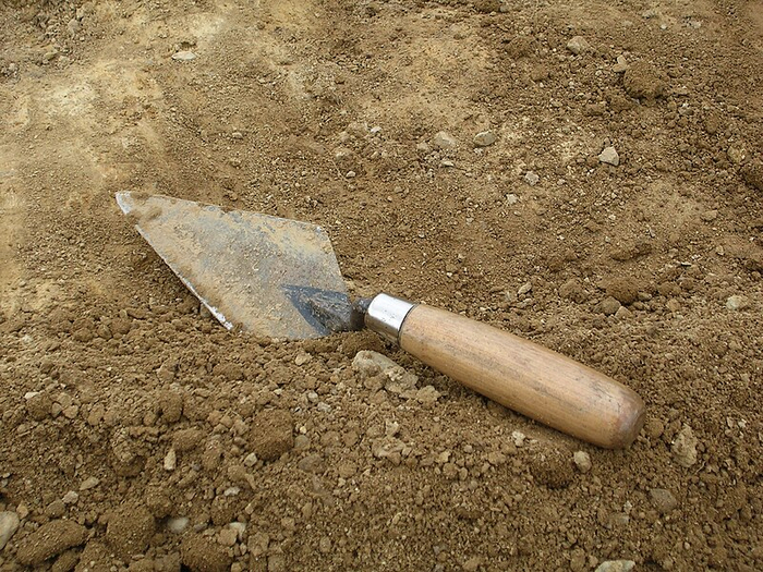 DFS Trowel (500% x 100) 