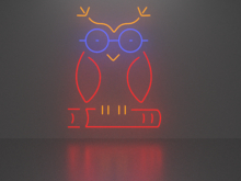 Owl 2 neon sign Full Permission
