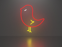 Bird neon sign Full Permission