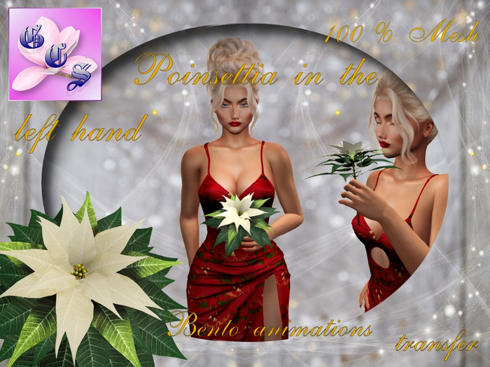 Gift 2024_Poinsettia in the left hand_C_003