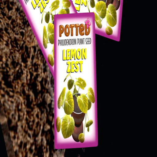 Potted: Philodendron Plant Seed: Lemon Zest