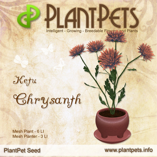 PlantPet Seed [Chrysanth *Ketu*]