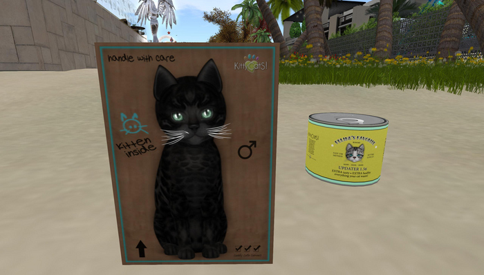 KittyCatS Box - New Born Kitten Male Bengal Black