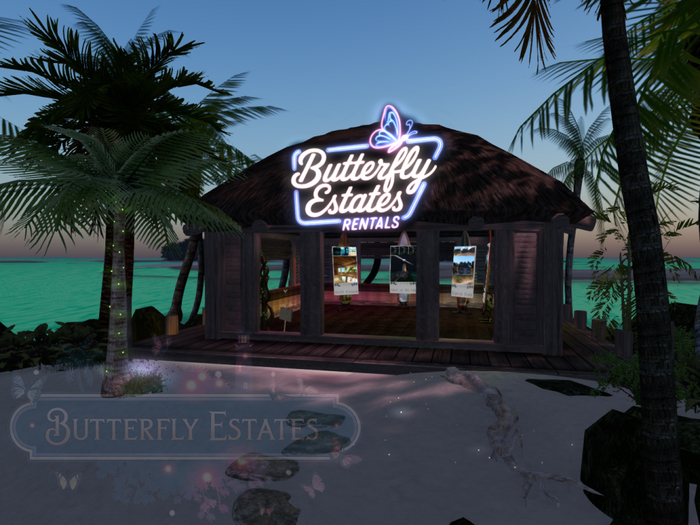 Butterfly Beach Rentals