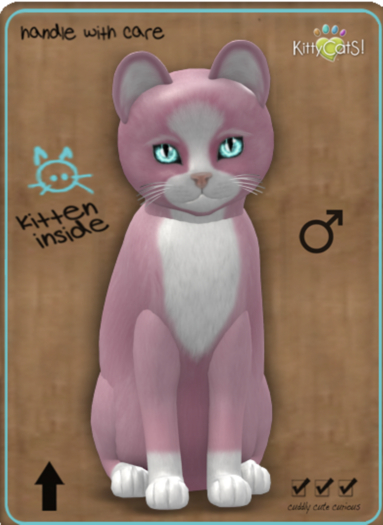 KittyCatS Box - 9T ChatPink/Blueberry/Porc/2ToneStubby