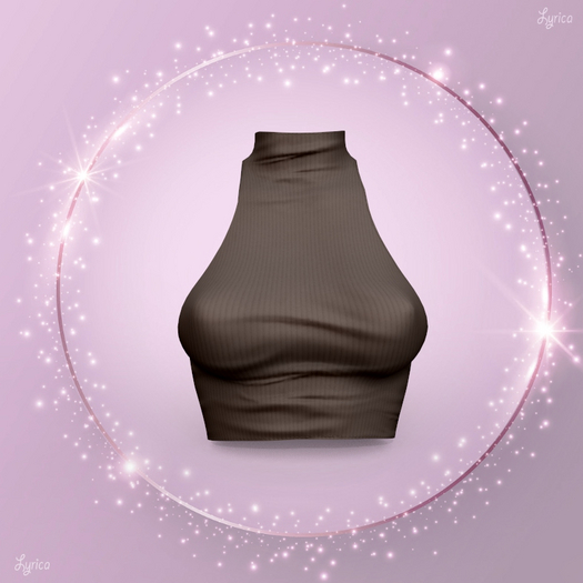 Brown Ramy Top LARAX