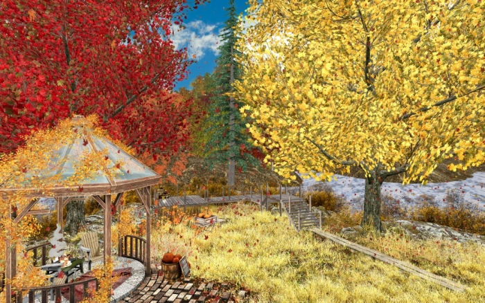 Autumn Colour