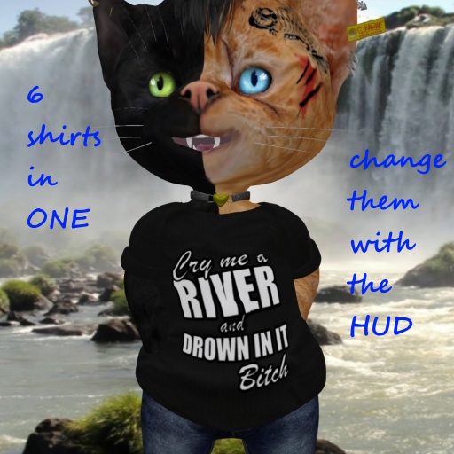.::KS::.dinkie-summer-shirt-cry-me-a-river+HUD