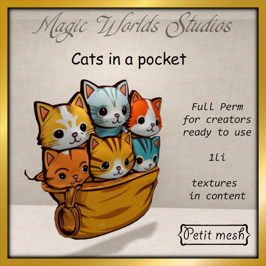 MW cats in a pocket