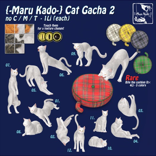 06_{-Maru Kado-} Cat2_stretch (1Li)