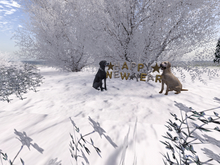 Happy New Year 3 - Dog