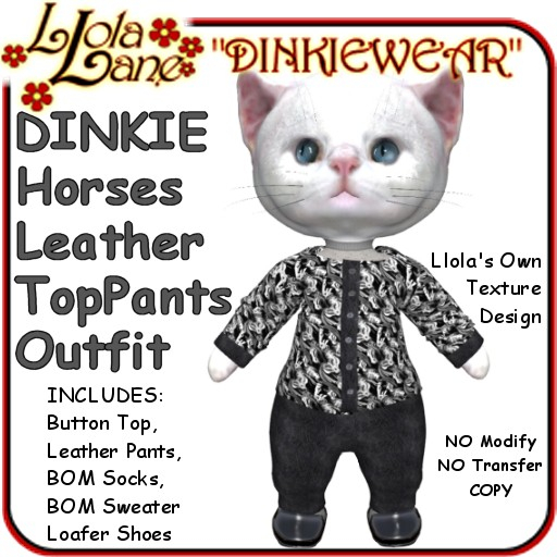 dinkie tiny DINKIEWEAR horses LEATHER TOP/PANTS OUTFIT boys boy
