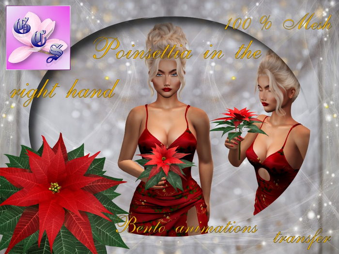 Poinsettia in the right hand Bento_LR_001