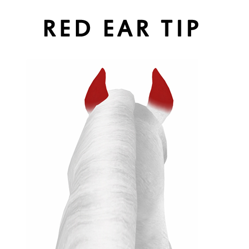 BW M LL EarTipRed Heartbrand