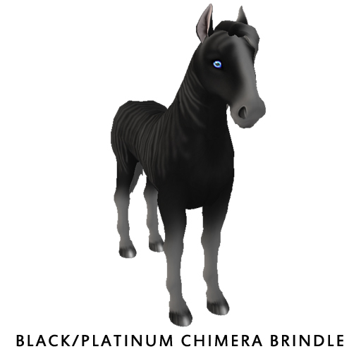 Platinum/Black Chimera Brindle F