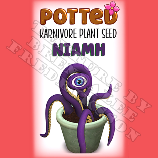 Potted: Karnivore Plant Seed: Niamh (ACTUAL PLANT SEED)