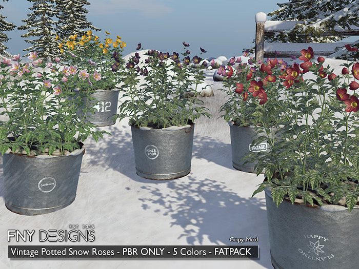 :FNY: Designs - Vintage Potted Snow Roses PBR Fatpack