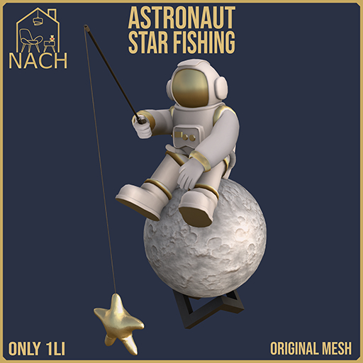 NACH Astronaut Star Fishing