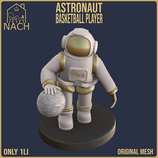 NACH Astronaut Basketball
