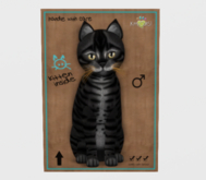Male Breedable Cat KittyCatS Toyger - Coal Galaxy Star Kitten