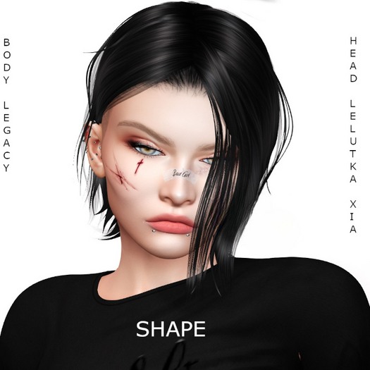 FDG shape sofia HEAD XIA
