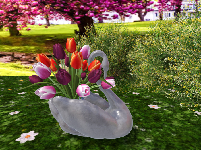 Silver Swan 2 with  Tulips Tricolor - PBR