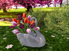 Silver Swan 2 with  Tulips Tricolor - PBR