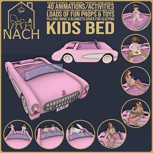 NACH Barbie Inspired Car Bed