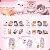 +Half-Deer+ Pomeranian - Angel Companion RARE