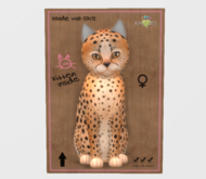Female Breedable Cat KittyCatS Cheetah! - Ginger Flame Kitten