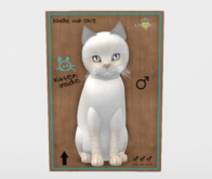 Male Breedable Cat KittyCatS Balinese - Cleam Lynx