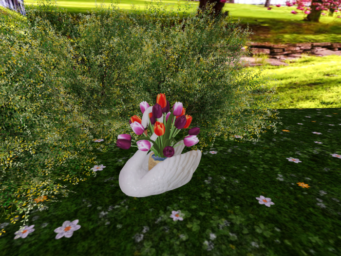 Swan 2 with Tulips Tricolor