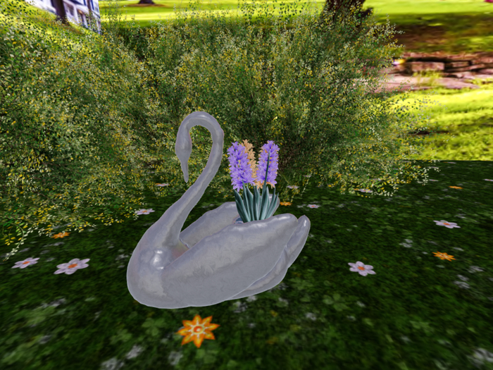 Silver Swan with Hyacinthine Blue and Orange