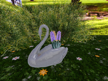 Silver Swan with Hyacinthine Blue and Orange