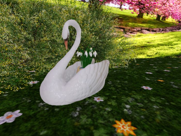 Swan with Snowdrops