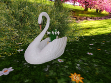 Swan with Snowdrops