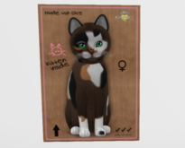 Female Breedable Cat KittyCatS Genesis - Patch II Kitten!
