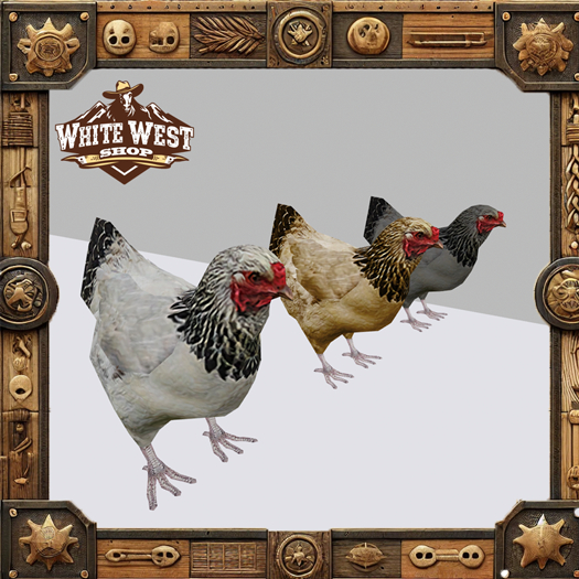 ~WW~ Static Chickens with Sounds