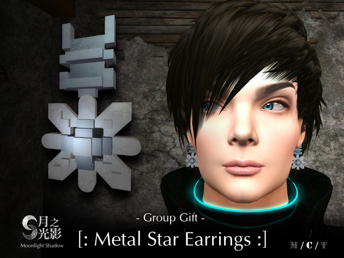 Gift [:: MS ::] Metal Star Earrings