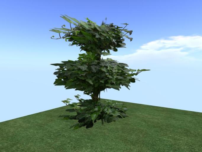Arkads 1 Prim English Ivy v2